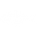 005-raw-fish